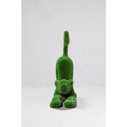 DSC_5164