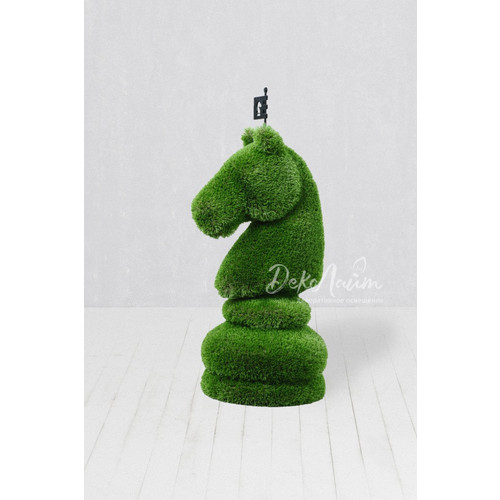 DSC_7729 копия