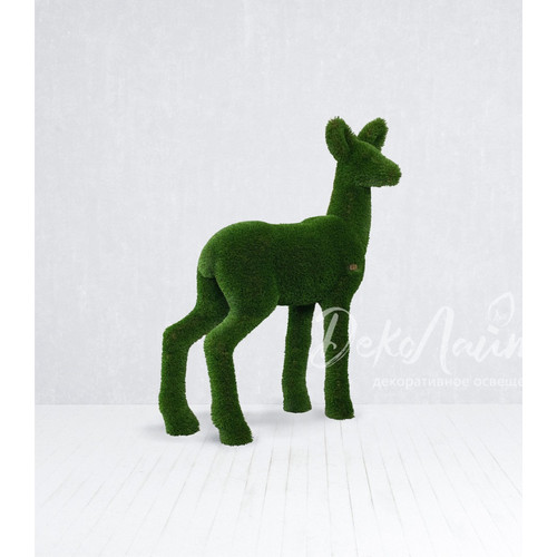косуля самка 03 копия