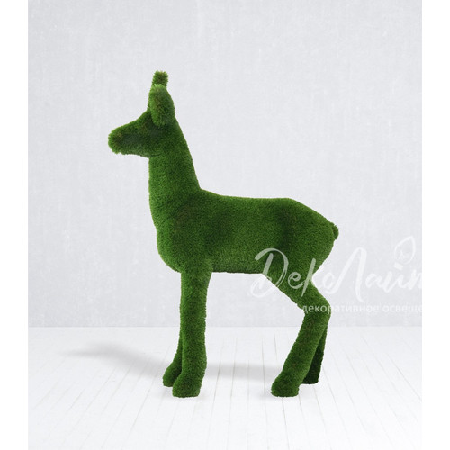 косуля самка 04 копия