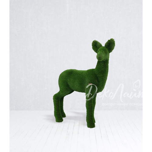 косуля самка копия