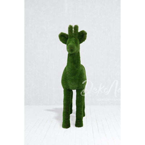 косуля самец01 копия