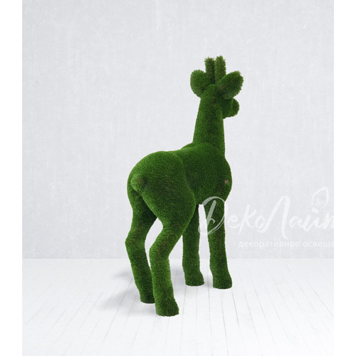 косуля самец02 копия